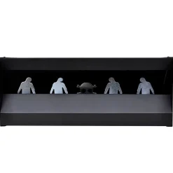 vidaXL Schietkast magnetisch met targets 4+1 zombieontwerp