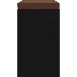 vidaXL Schoenenbank 103x30x48 cm bewerkt hout zwart