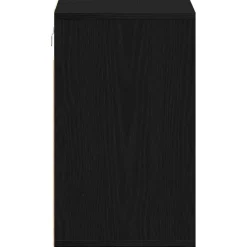 vidaXL Schoenenkast 2 st 52 x 30 x 50,5 cm Bewerkt hout Zwart eiken