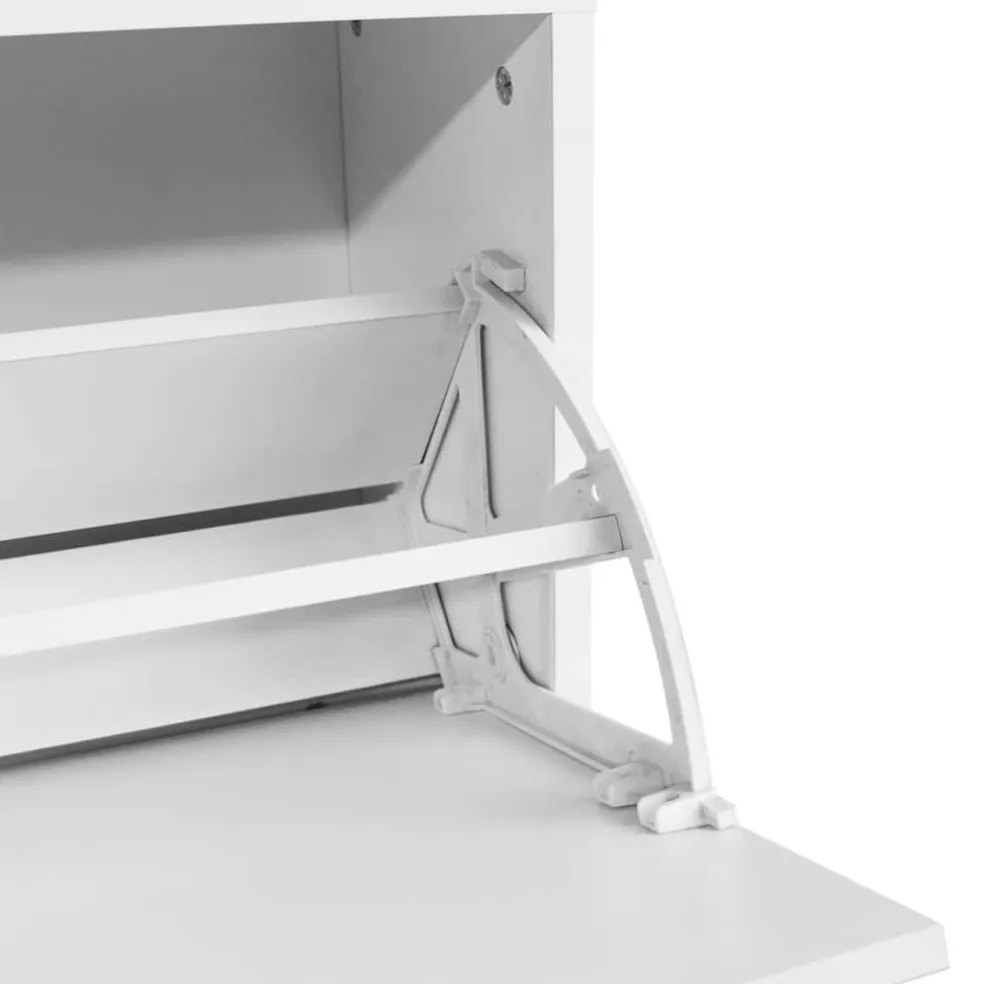 vidaXL Schoenen opbergkast 80x24x45 cm wit