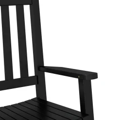vidaXL Schommelstoelen 2 st voor kinderen massief populierenhout zwart