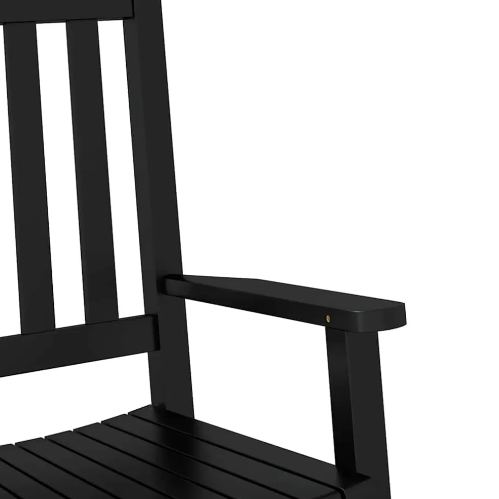 vidaXL Schommelstoelen 2 st voor kinderen massief populierenhout zwart
