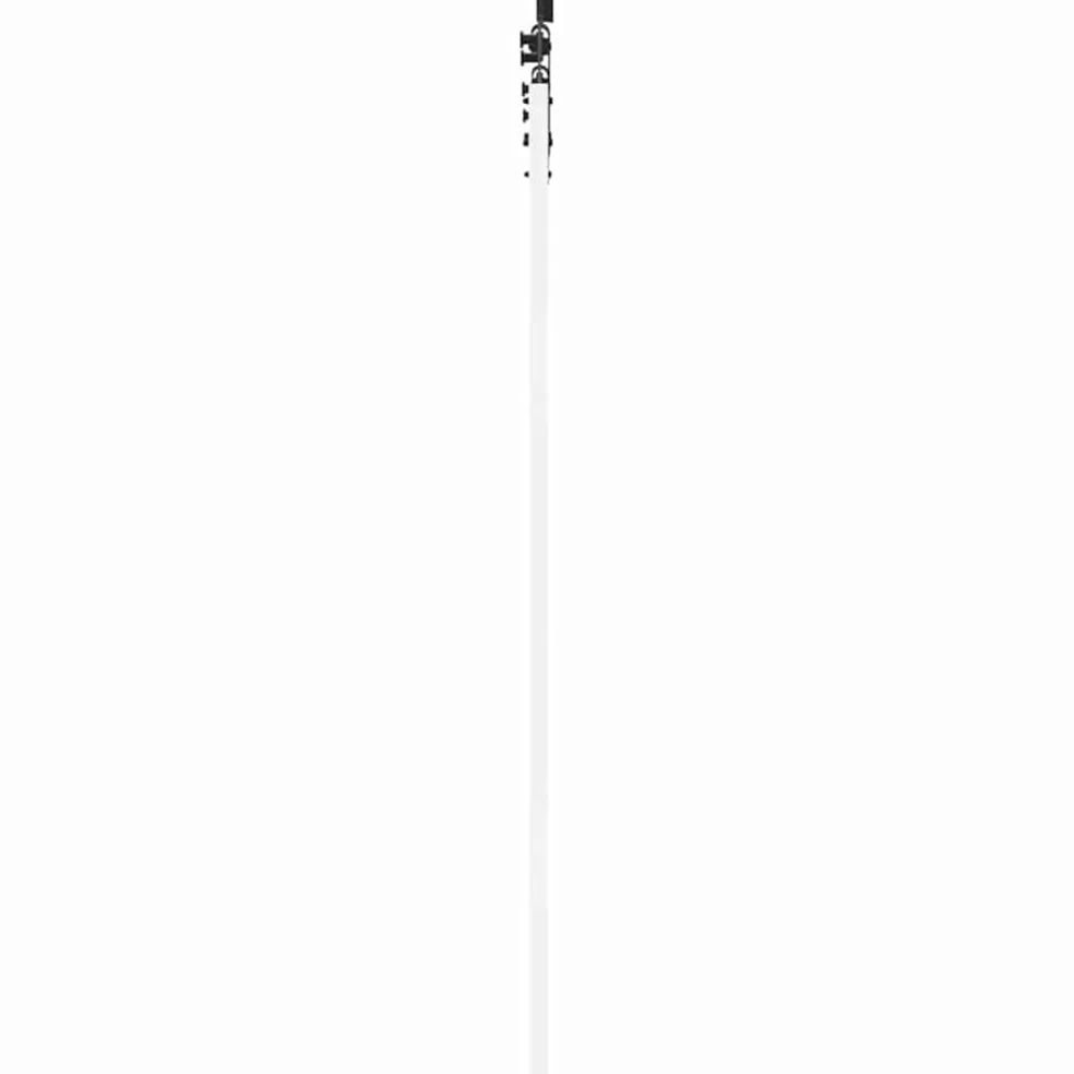 vidaXL Schuifdeur ORKDAL 61 x 198,5 cm Massief grenenhout en glas Wit