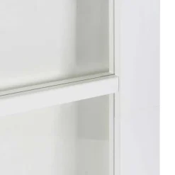 vidaXL Schuifdeur ORKDAL 61 x 198,5 cm Massief grenenhout en glas