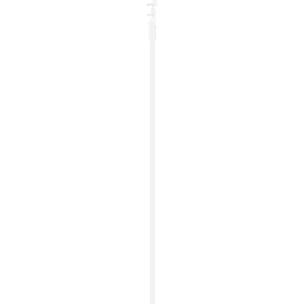 vidaXL Schuifdeur 61 x 198,5 cm Massief grenenhout en glas Wit
