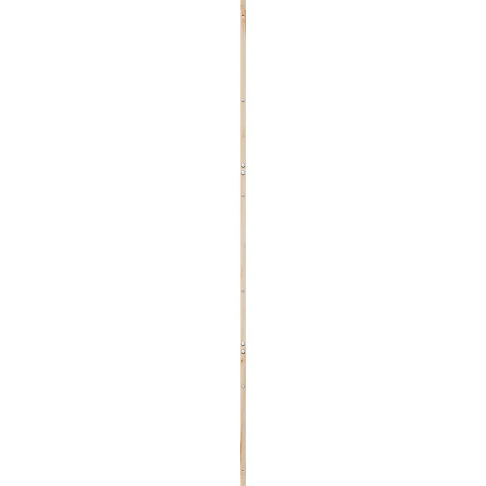 vidaXL Schuifdeur 100 x 2,5 x 208 cm Massief grenenhout Naturel