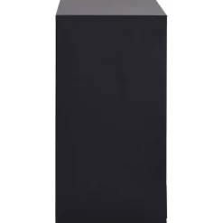 vidaXL Sieradendoos 10-laags met horlogehouders zwart 29x20,5x40,5 cm