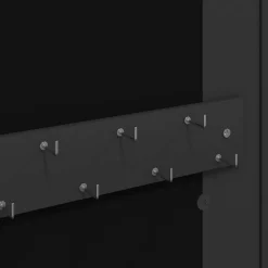 vidaXL Sieradenkast met spiegel wandgemonteerd 30x8,5x67 cm zwart