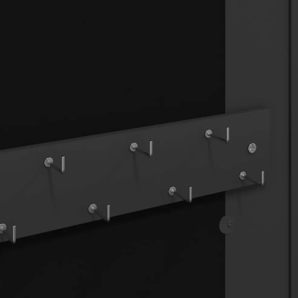 vidaXL Sieradenkast met spiegel wandgemonteerd 30x8,5x67 cm zwart