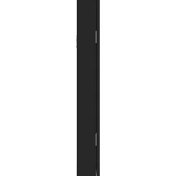 vidaXL Sieradenkast met spiegel wandgemonteerd 30x8,5x67 cm zwart