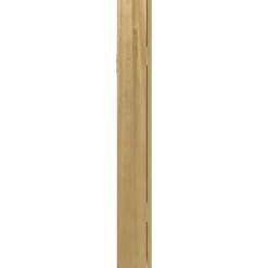 vidaXL Sieradenkast met spiegel wandgemonteerd 30x8,5x67 cm