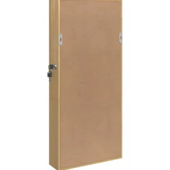 vidaXL Sieradenkast met spiegel wandgemonteerd 30x8,5x67 cm