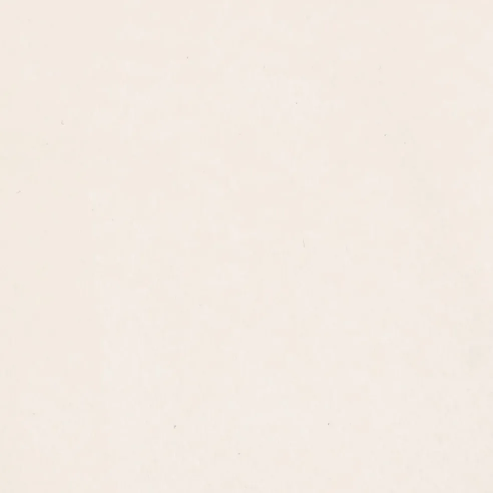 vidaXL Sierkussens 2 st 40x40 cm microvezelstof beige