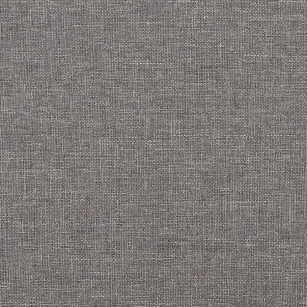 vidaXL Sierkussens 2 st 40x40 cm stof lichtgrijs