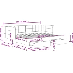 vidaXL Slaapbank met onderschuifbed en lades 80x200 cm fluweel roze