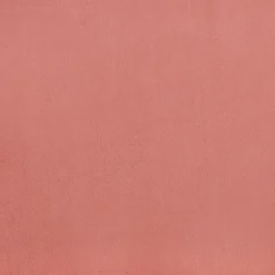 vidaXL Slaapbank 2-zits met 2 kussens fluweel roze