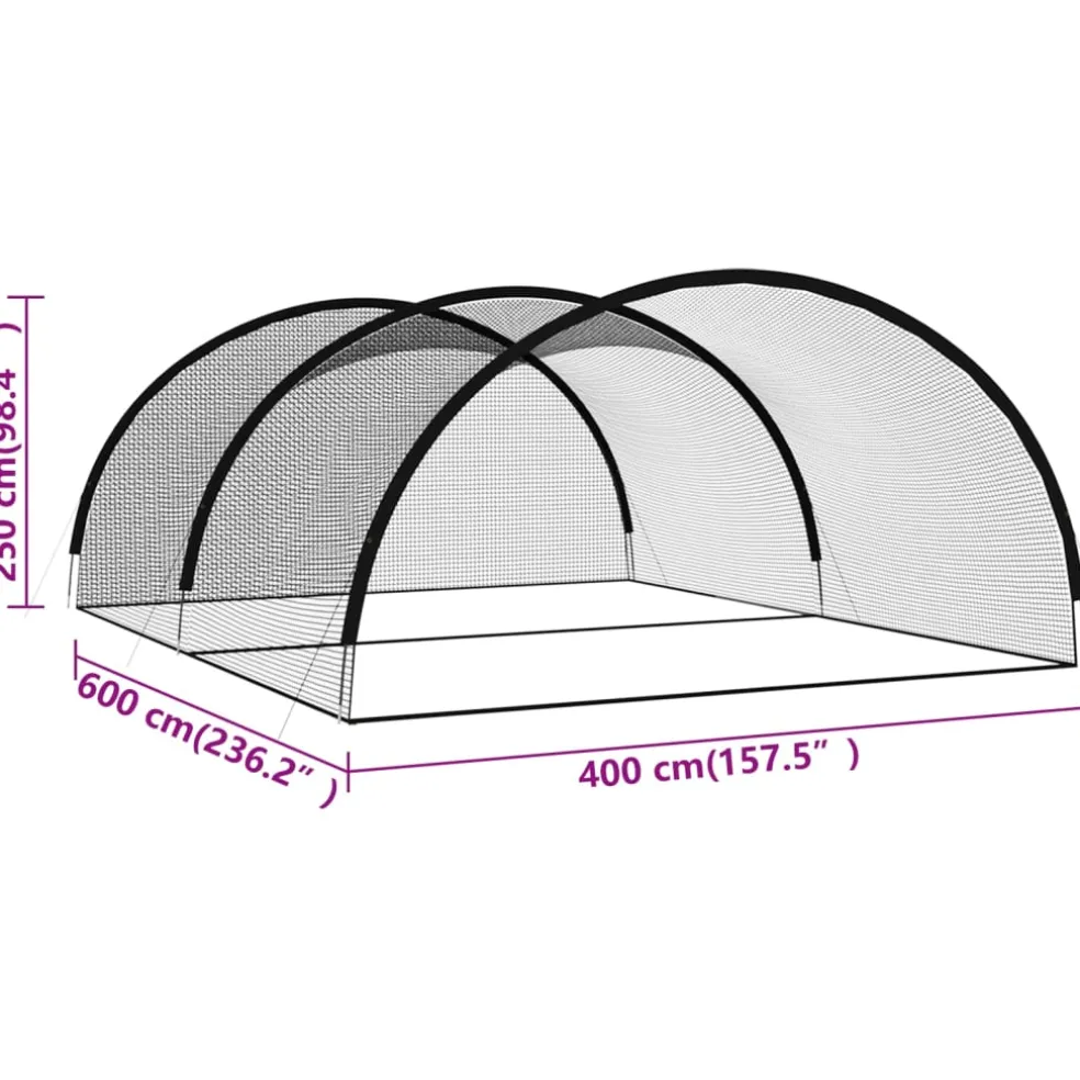 vidaXL Slagkooi honkbal 600x400x250 cm polyester zwart