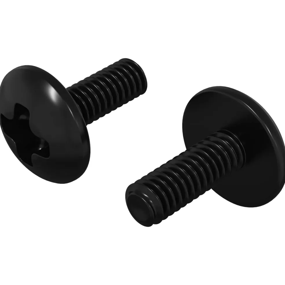 vidaXL Sleeve Schroeven 2 st Zwart M4 x 10 mm Staal