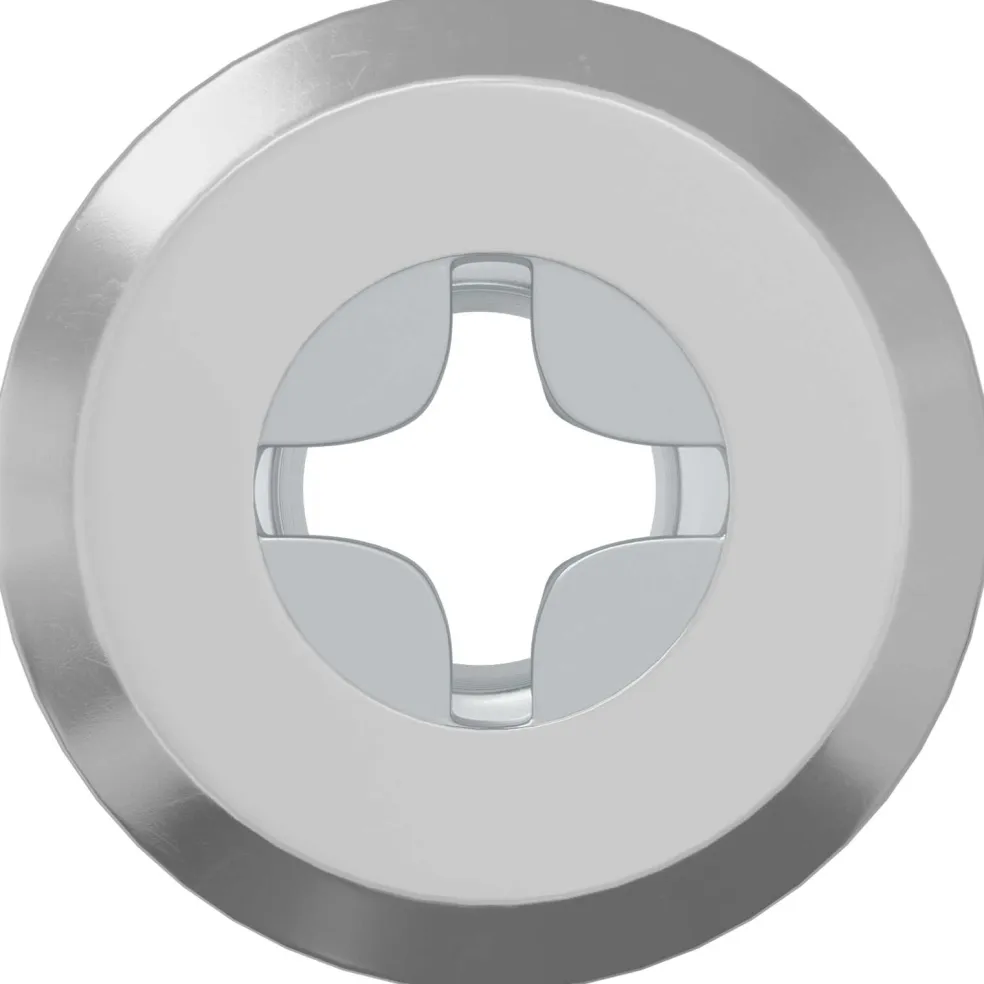 vidaXL Slotmoer 2 st Zilver M6 x 15 mm Staal