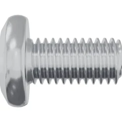 vidaXL Slotschroef Effen 2 st zilver M6 x 12 mm Staal
