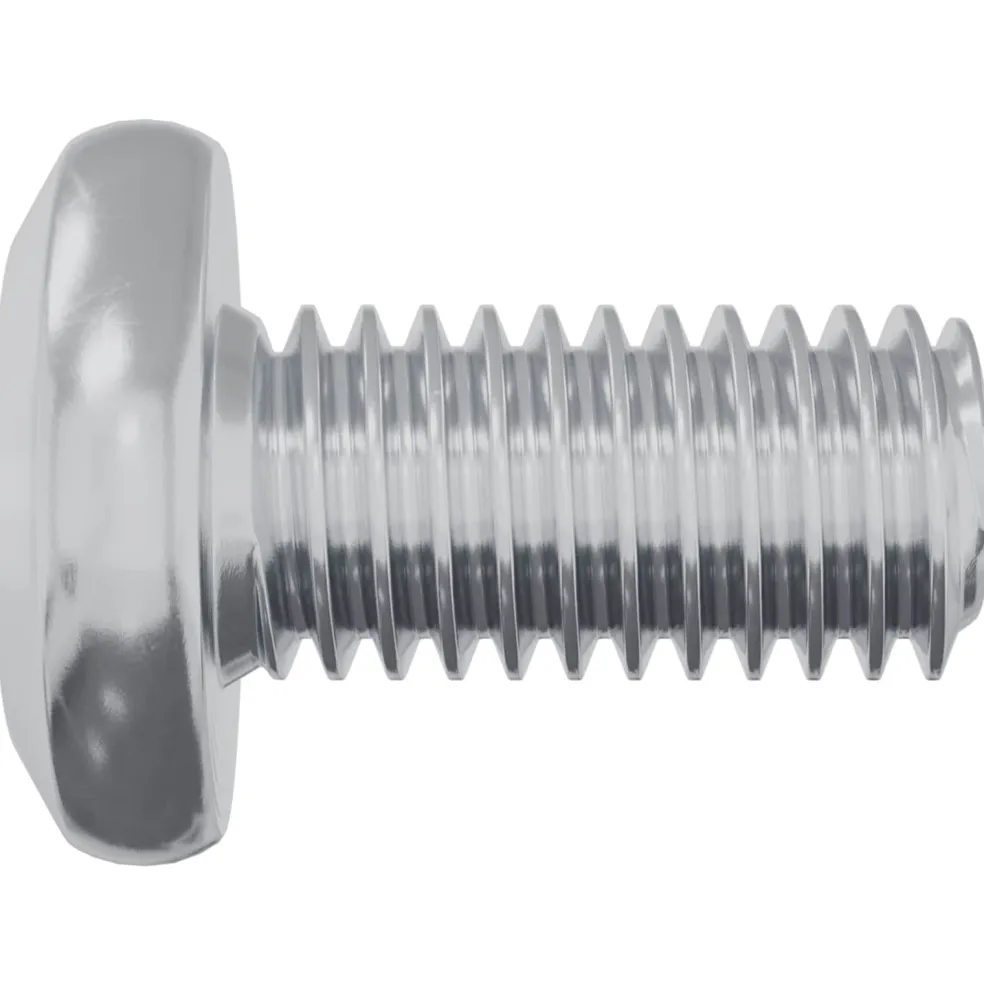 vidaXL Slotschroef Effen 2 st zilver M6 x 12 mm Staal