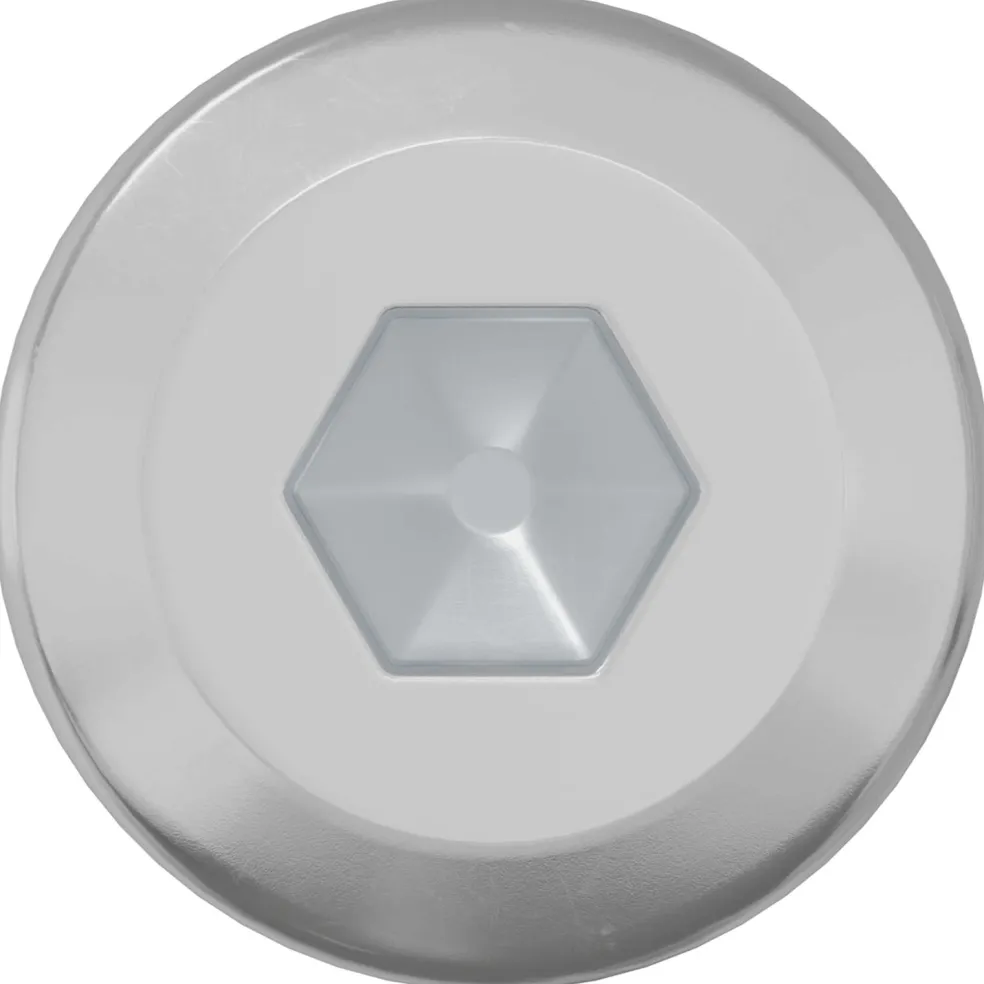 vidaXL Slotschroef Effen 2 st zilver M6 x 12 mm Staal