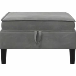 vidaXL Sofa Kruk met Opslag Donkergrijs Fluweel