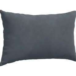 vidaXL Sofa Kussens 2 stuks Donkergrijs 50 x 30 cm Cordstof