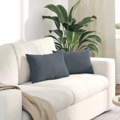 vidaXL Sofa Kussens 2 stuks Donkergrijs 50 x 30 cm Cordstof