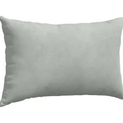 vidaXL Sofa Kussens 2 stuks Lichtgrijs 50 x 30 cm Cordstof
