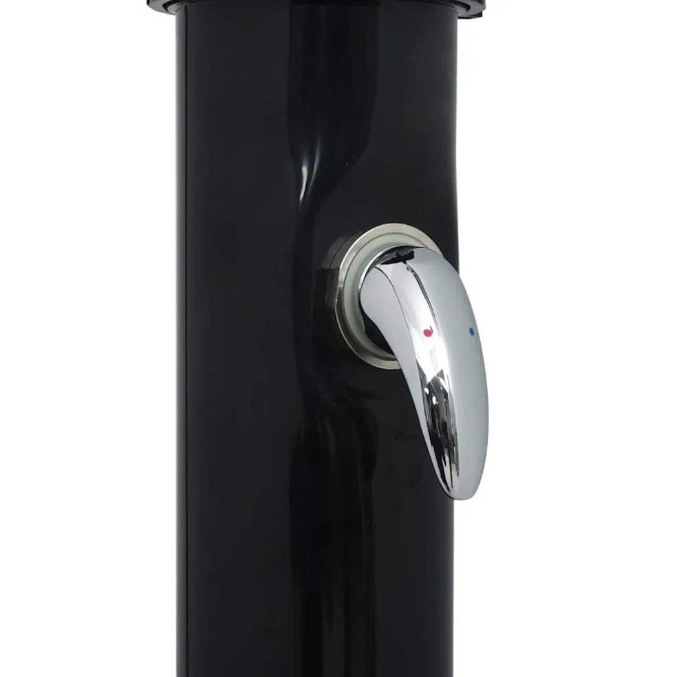 vidaXL Solardouche 20 L 220 cm zwart