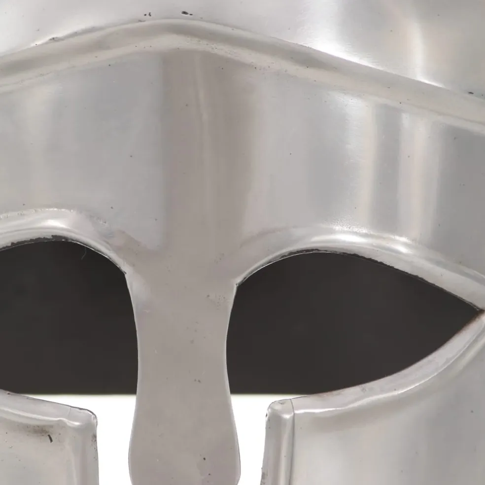 vidaXL Soldatenhelm Grieks replica LARP staal zilverkleurig
