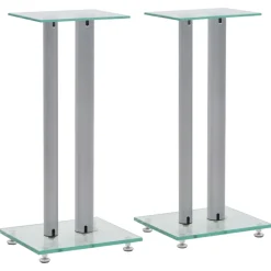 vidaXL Speakerstandaarden zuil-ontwerp gehard glas zilver 2 st
