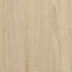 vidaXL Spiegelkast Sonoma Eiken 60 x 16 x 60 cm Bewerkt hout