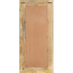 vidaXL Spiegel 50x3x110 cm massief mangohout