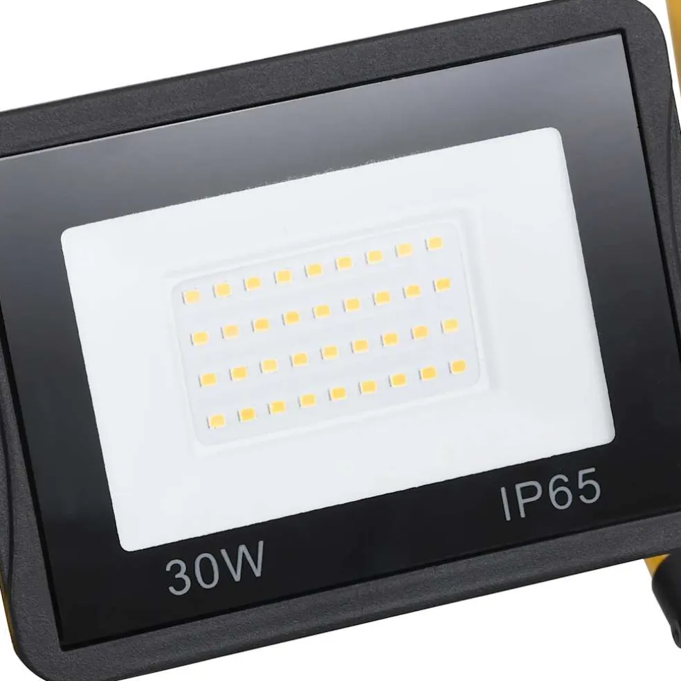 vidaXL Spotlight met handvat LED 30 W koudwit