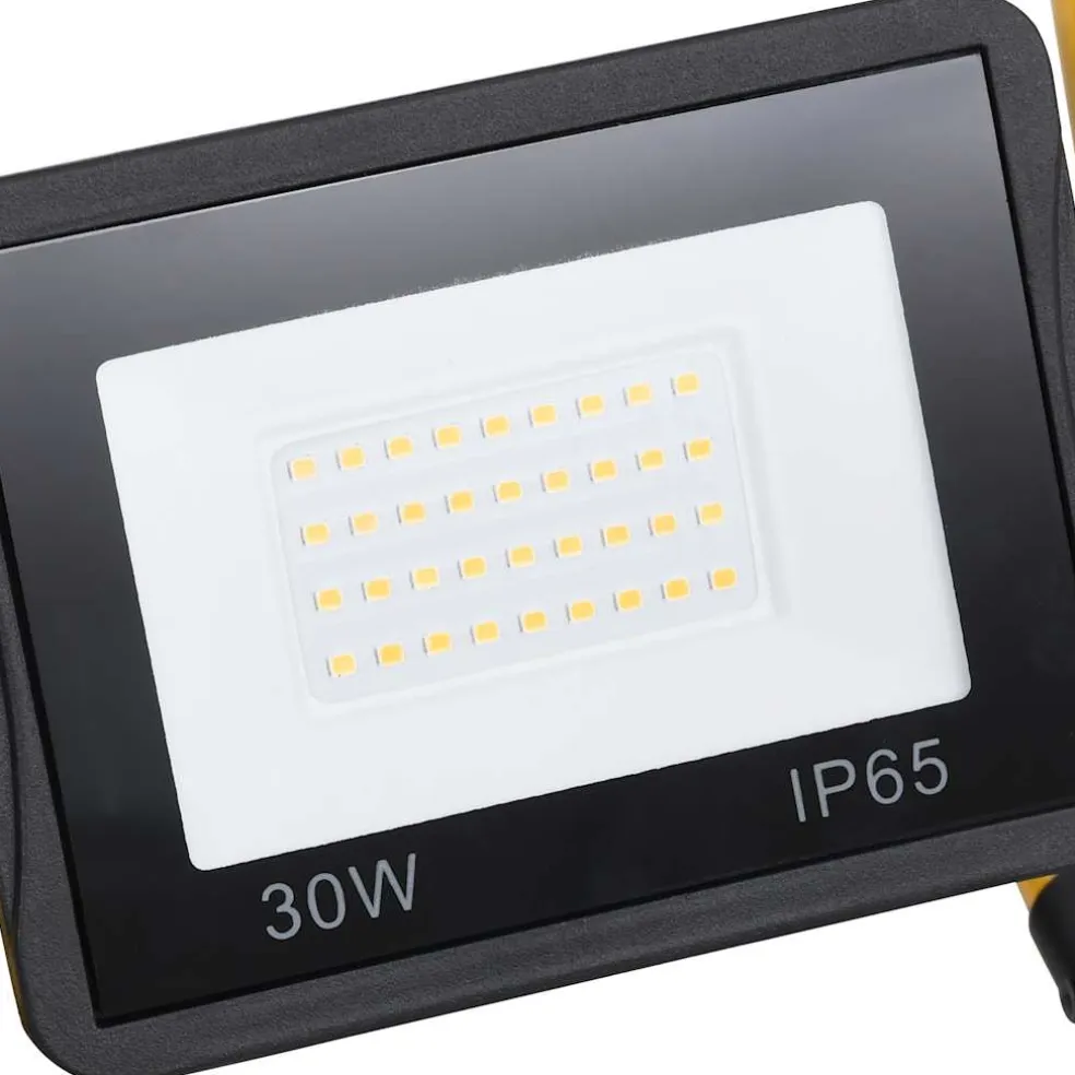 vidaXL Spotlight met handvat LED 30 W warmwit