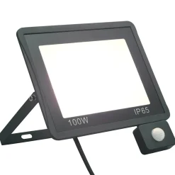vidaXL Spotlight met sensor LED 100 W koudwit