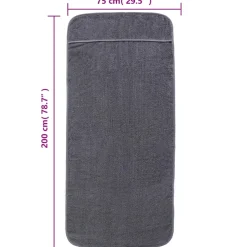 vidaXL Strandhanddoeken 2 st 400 g/m² 75x200 cm stof antracietkleurig