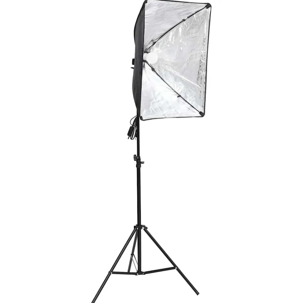vidaXL Studiolamp professioneel 60x40 cm