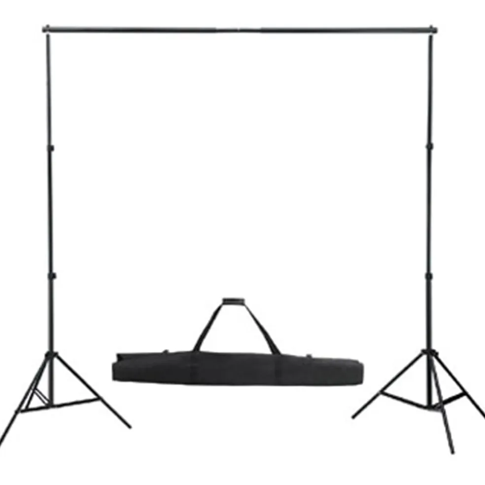 vidaXL Studioset met witte achtergrond en lampen 600x300 cm