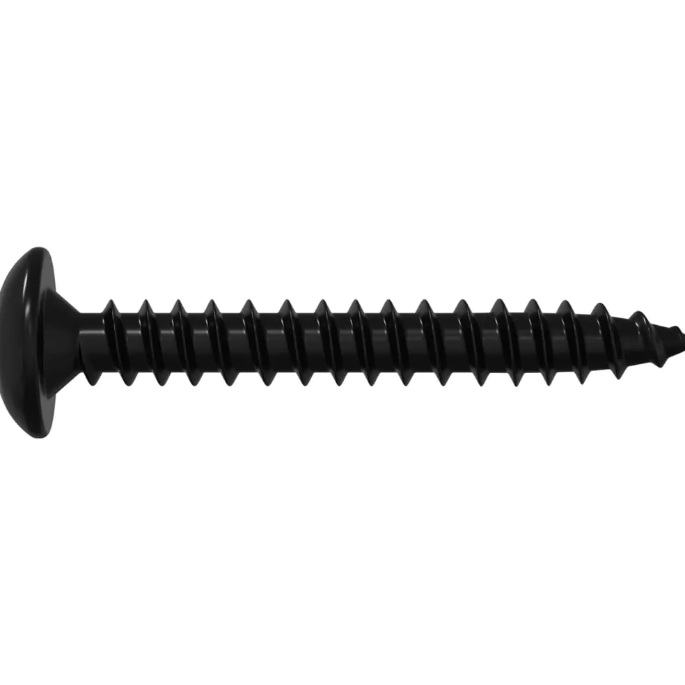 vidaXL Tapnagel 2 st Zwart M4 x 28 mm Staal