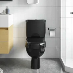 vidaXL Toilet met stortbak zwart