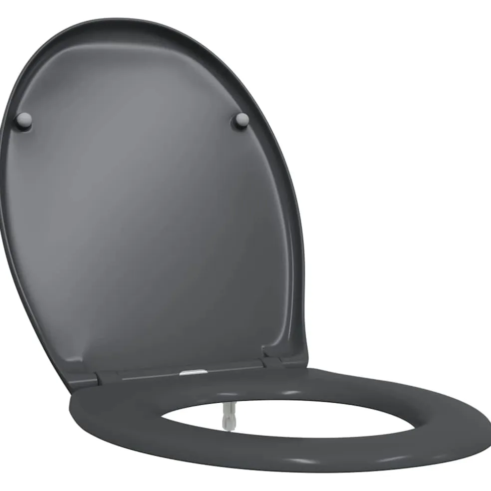 vidaXL Toiletzitting Antraciet 47 x 37 x 4 cm Duroplast