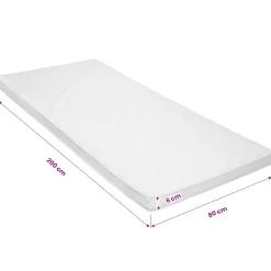 vidaXL Topmatras ei-profiel 6 cm koudschuim 80x200 cm