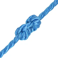 vidaXL Touw gedraaid 10 mm 100 m polypropyleen blauw