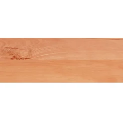 vidaXL Traplopers 2 st 70 x 25 x 2 cm Lak Massief beukenhout