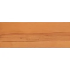vidaXL Trapmatten 2 st Licht Bruin 80 x 25 x 2 cm Massief beukenhout