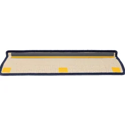 vidaXL Trapmatten 15 st 65x21x4 cm donkergrijs en blauw