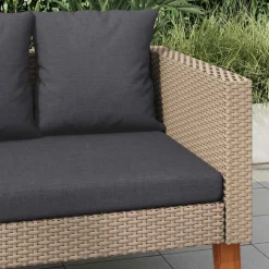 vidaXL Tuinbank 2-zits met kussens poly rattan beige